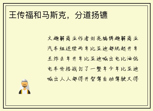 王传福和马斯克，分道扬镳