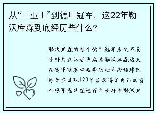 从“三亚王”到德甲冠军，这22年勒沃库森到底经历些什么？